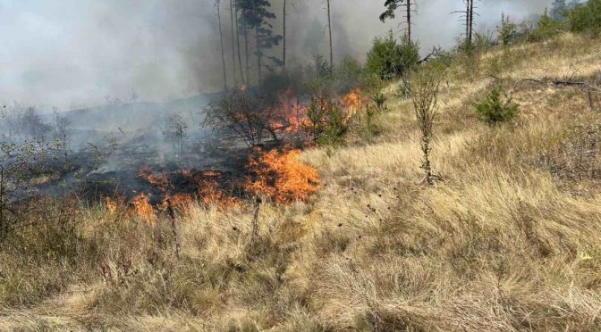 Разрастващ се пожар пълзи към самоковското село Алино