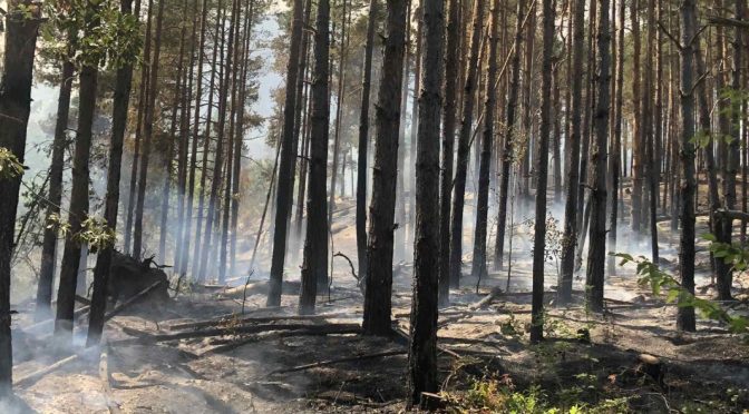 Седем са активните пожари на територията на Северна Македония