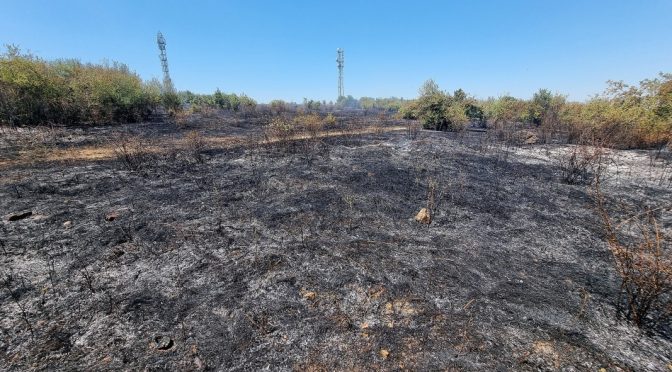 Огнеборци спасиха от пожар бензиностанция и вили край Лом