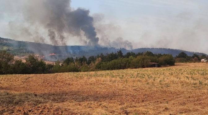 С нетипични за сезона пожари в гористи местности се борят старозагорските огнеборци