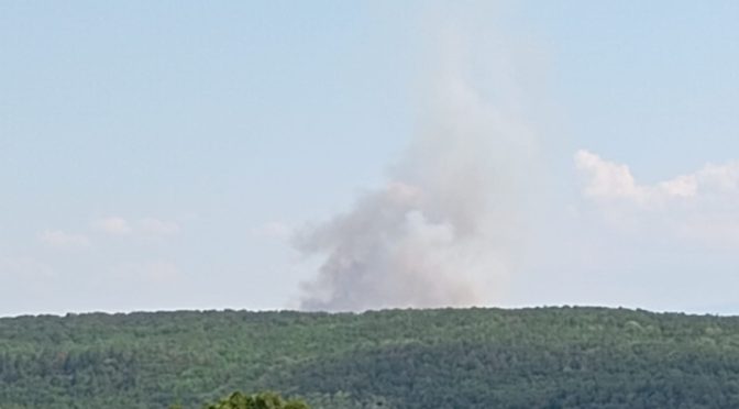 Пожар избухна в изоставени лозя между Драгомир и Мало Крушево