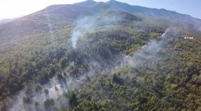 Двама огнеборци са пострадали при гасенето на пожара край Вършец