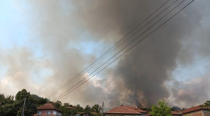 Пожарът в с. Ореш, който изпепели 2 къщи, е погасен, няма пострадали хора