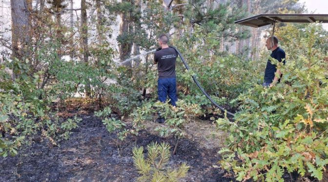 Пожарът в село Струпец отново се е разгорял