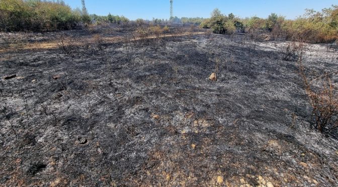 Пожар край село Габровница в Монтанско