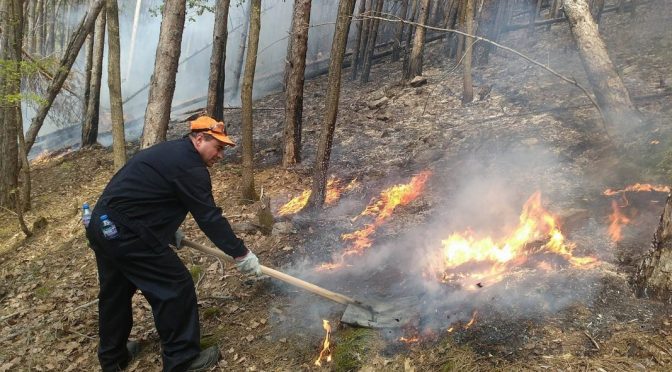 Пожарът край граничното село Църварица е овладян напълно