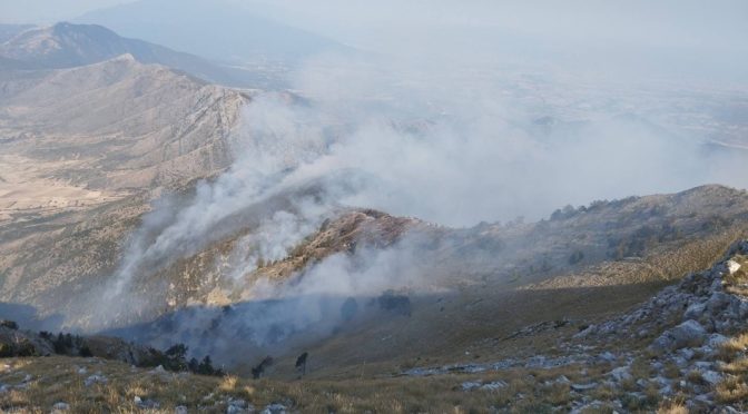 Пожарът в граничната планина Славянка  отново е достигнал до границата с България