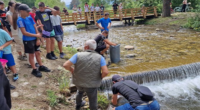 Зарибиха реките Бистрица и Искър с балканска пъстърва