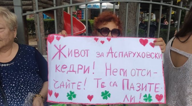 Протест в Аспарухово заради сеч в името на кооперация