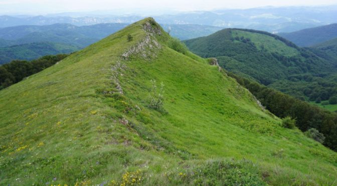 Близо 600 туристи ще изкачват връх Руй