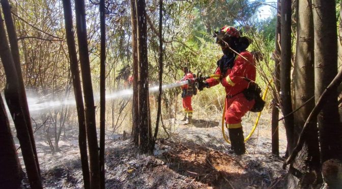 Голям горски пожар в испанската област Арагон