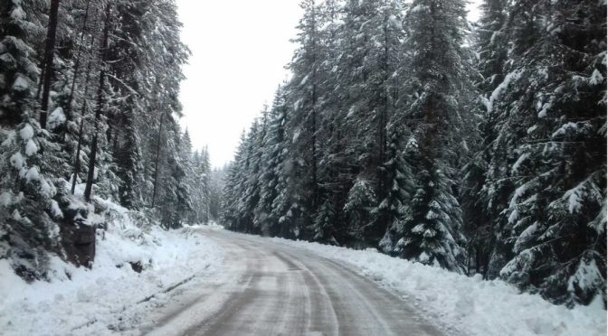 12 населени места в Смолянска област са без ток