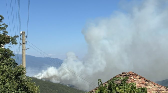 Пожарът в Малешевската планина е овладян, евакуираните се връщат в домовете си