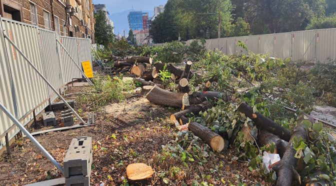 Реконструкцията на столичната улица "Опълченска" влиза от утре в нов етап