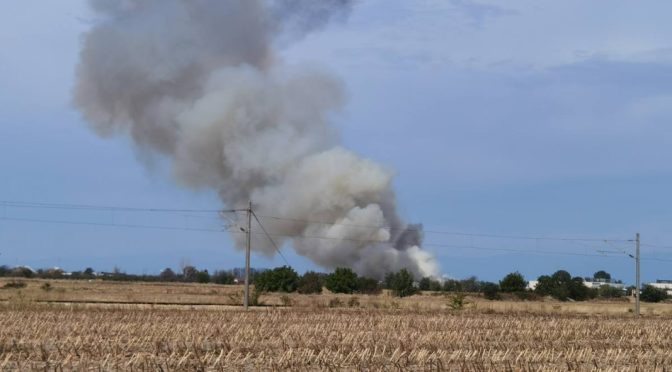 Данните от черната кутия на разбилия се край Граф Игнатиево самолет са предоставени на Военната прокуратура