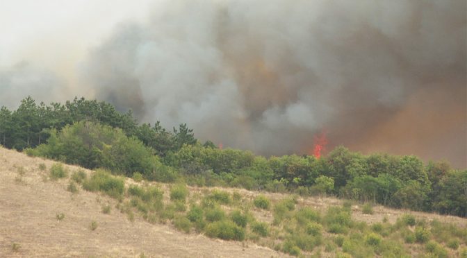 Пътни отсечки през харманлийското село Изворово са затворени за движение