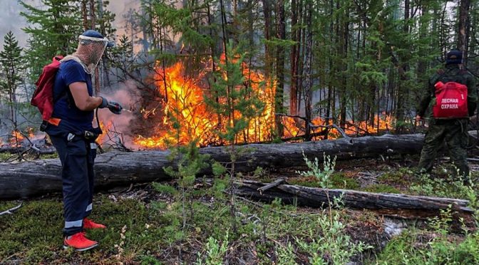 Две руски области обявиха извънредно положение заради горски пожари